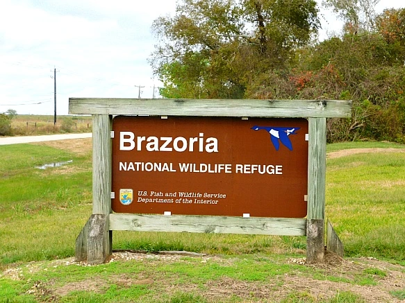 99739E3A5BF9F9D40765BB