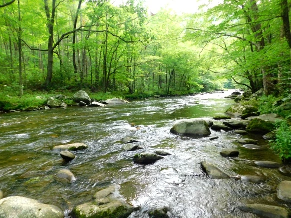 263F5A4859509A3633CCD9