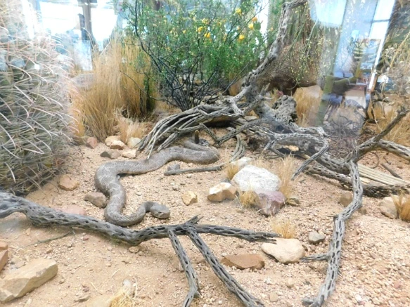 99BC9C335A2A10D4387683