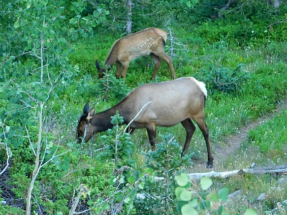 99B80F475B7268D20C979B