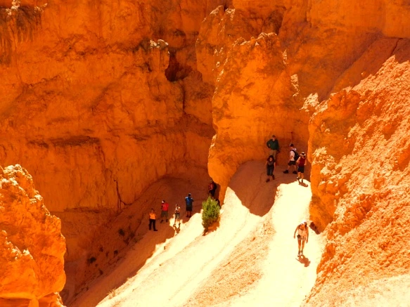 9907283359B878A60FEB99