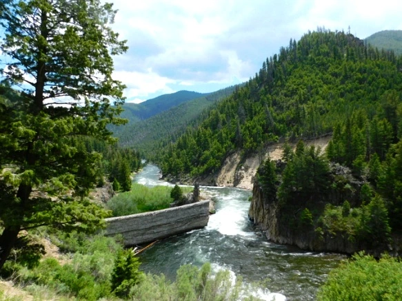 993421365B2F291D081E4E