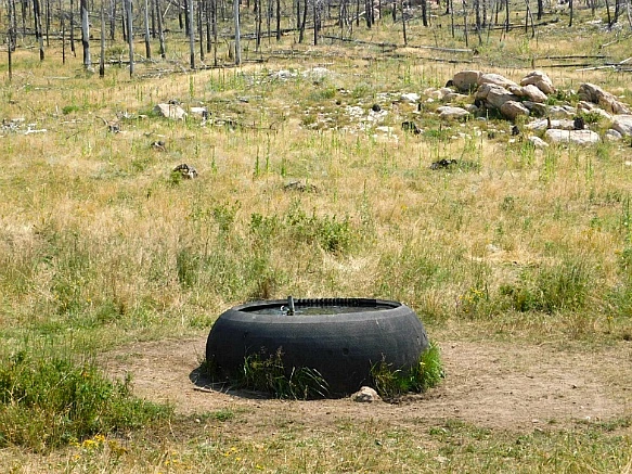 99E44B4F5B7653C92169EB