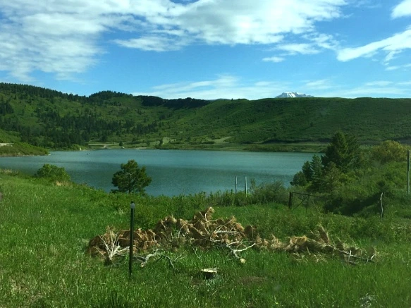 21581B45575E32AA2F5B1C