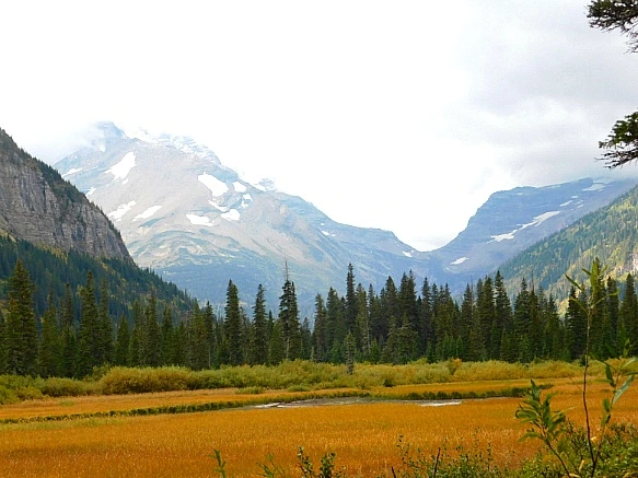 99E368455BAB05B5304142