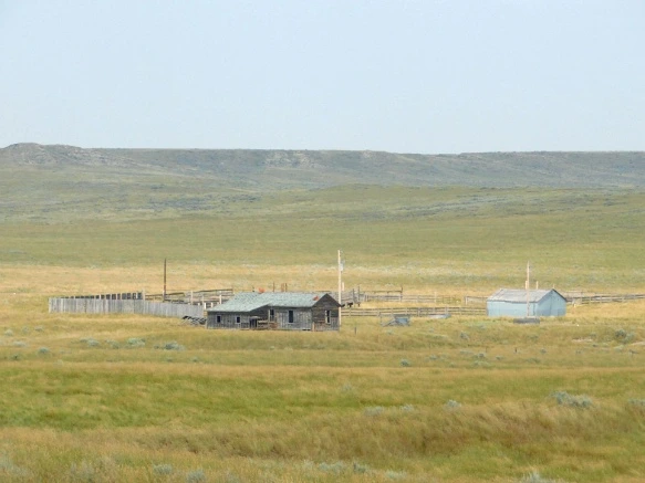 99C4EC425B77A1BC0F33A3