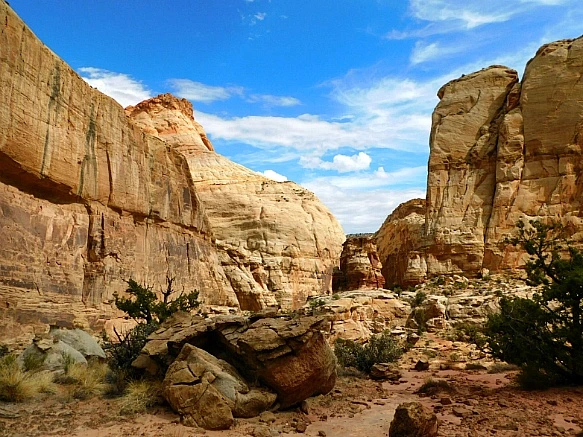 994647455BC2B4603CEAB1