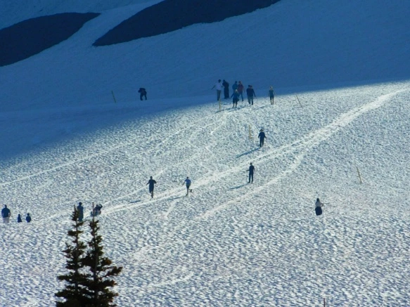 990C14475B3457712A6FCC