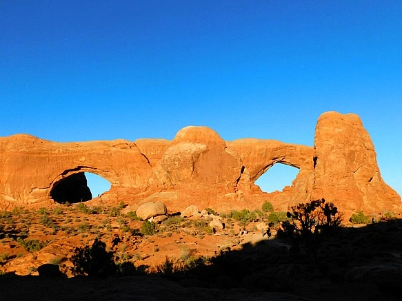 99A6E7375BB6DC41301756