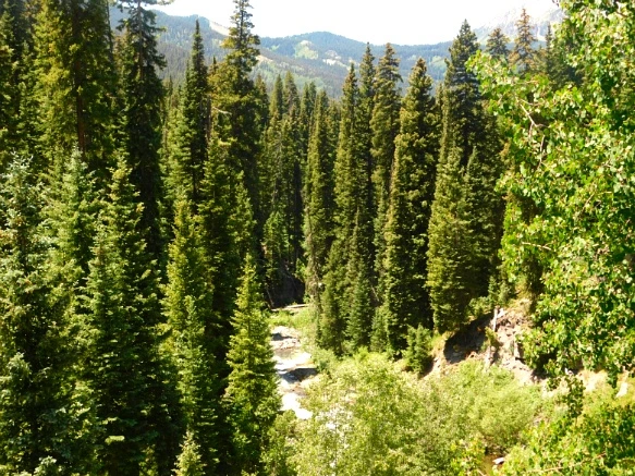 273AD344595C31A7216836