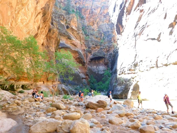 992B733359BB14EE3BC664