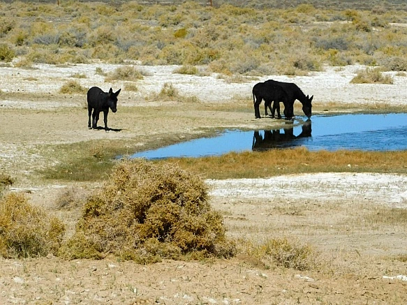 9934A2335BD135B91B2573