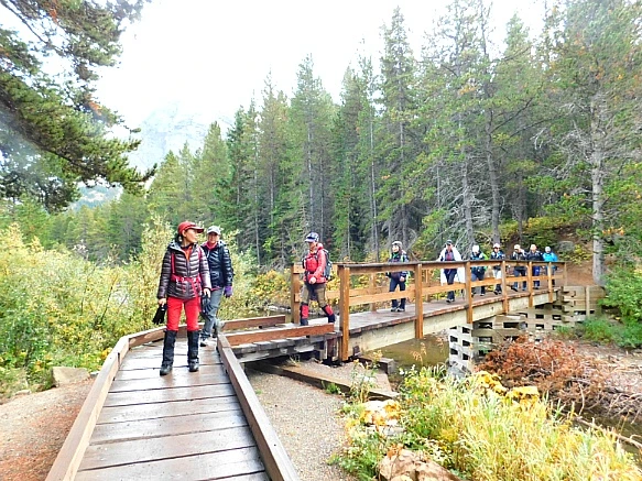 99095F4C5BA1B2C40E2D74