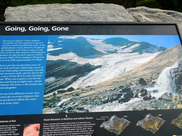 99F1223359A103A0278FC5