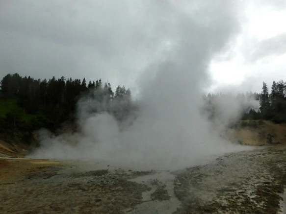 9941E0495B39A82204D3D8