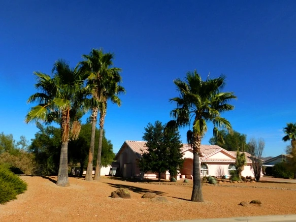 999CC9335A25F3042F0318