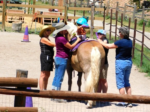 2743674E595C2C93040A22