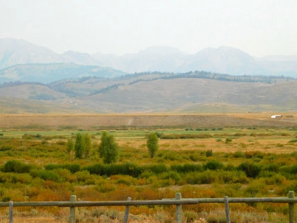 99DB493359B1EA9E21AEA1