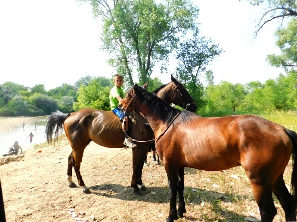 9943D2365B7A3960243BE1