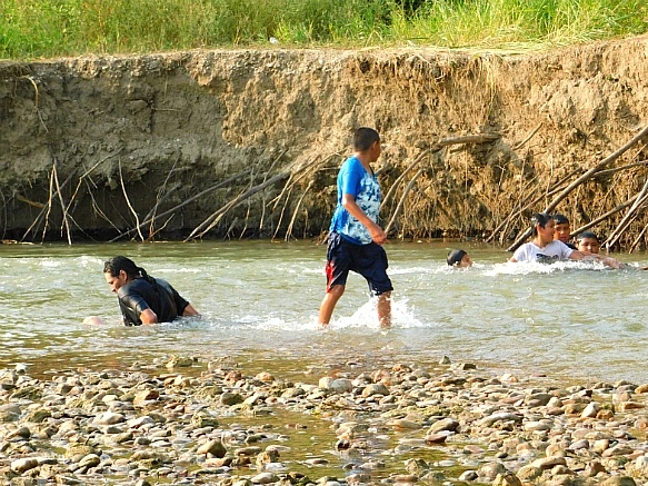 99F12F3D5B7E43B327AE21