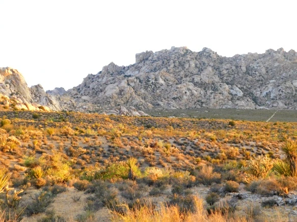 221A053A577B02E230A996