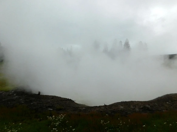 996334495B39A8280165FD