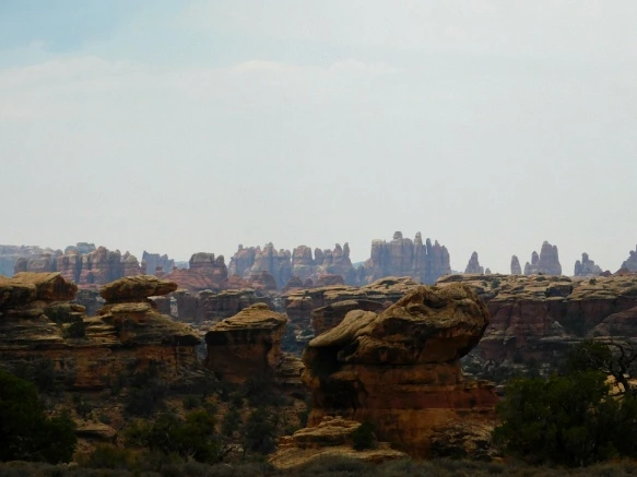 995D893359B482AA17E755