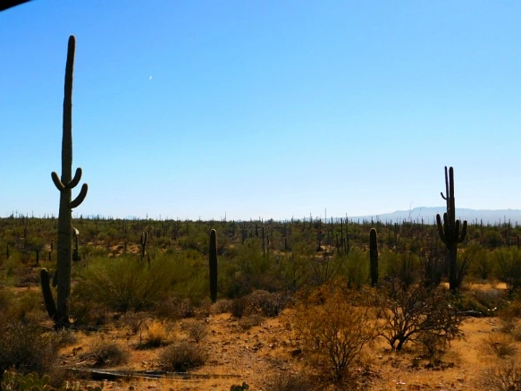 99B729335A2A1270151B3F