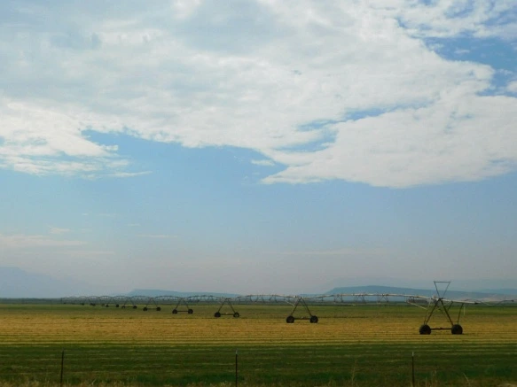 9991FB3359A779EF1C9FDA