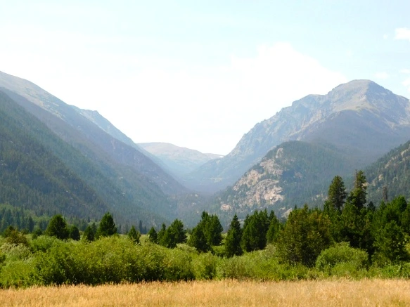 99BC064F5B74D077056019