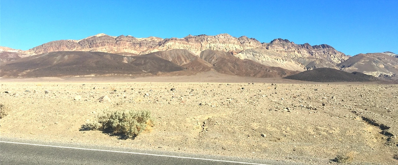 99C05F335A23B3CC03384A