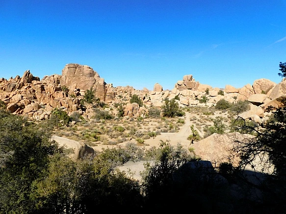 998FCD455BE4EF222674DC