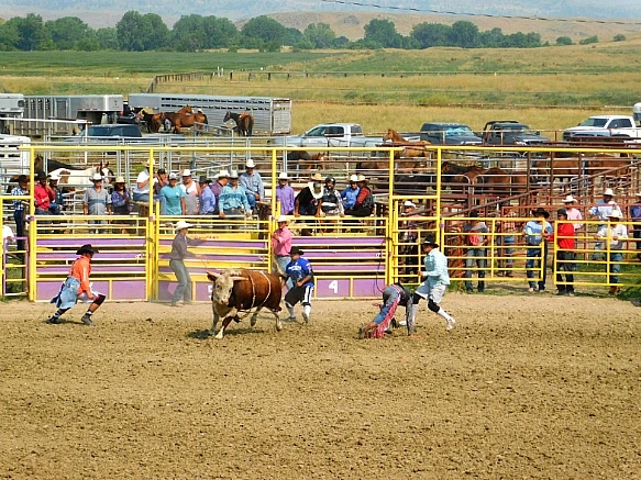 99D756355B7D9BBE393D9C