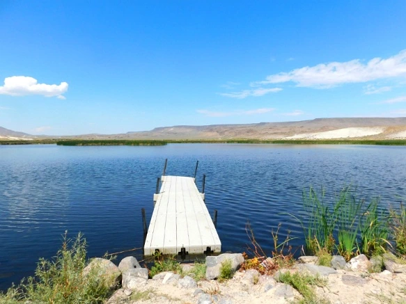 9949D43359A77A110EE5A8