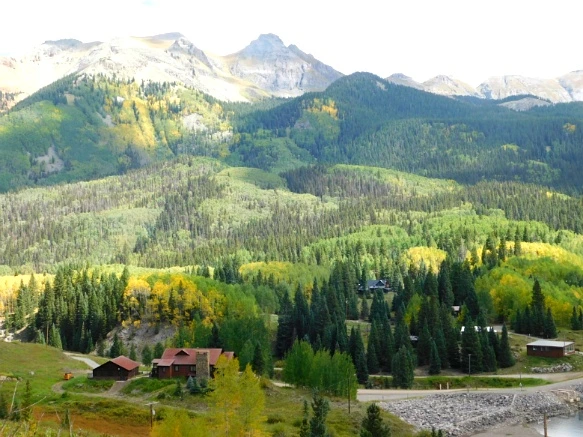 99C2373359BF46F32C76AE