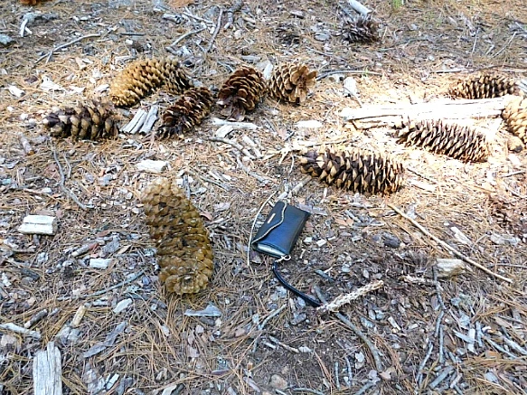 2341A63C57736C2F20B297