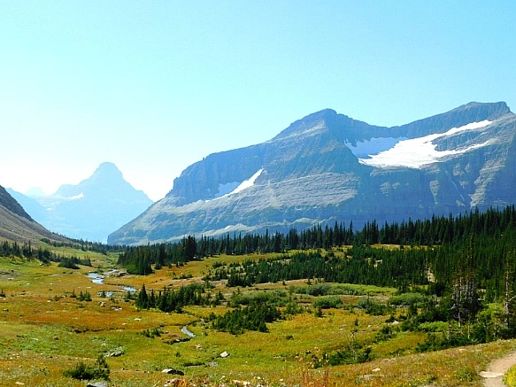 990A5A475B95AD2E19C515