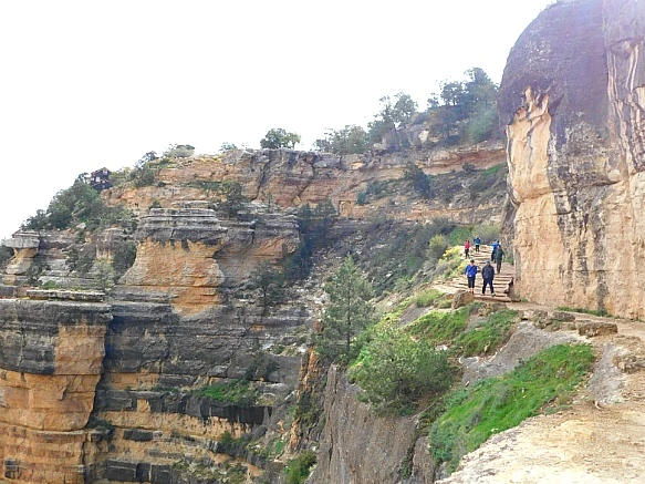 99CD1D385BC9512D2C173F