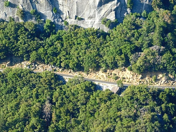 2177103657736C7E35F7B8