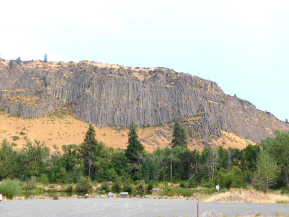 99BA8C3359A3834D0BB764