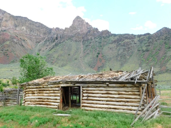 99BFAA355B2F29430B2620