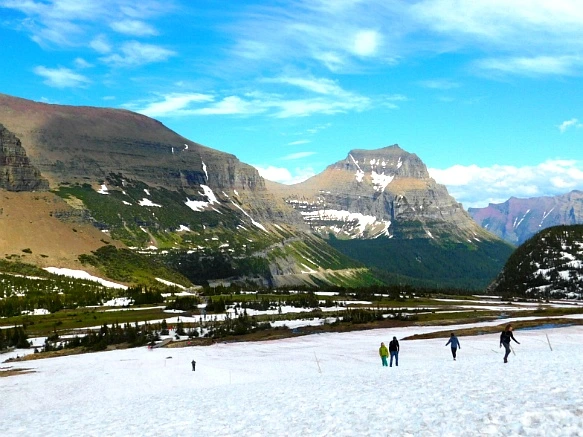 9931524A5B35776E0DB29E