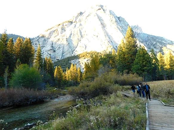 999192505BDBDA811A5F1B