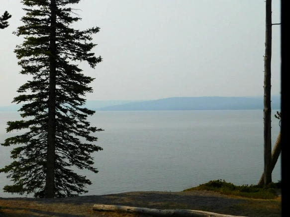 9944573359AF0E1D293B13