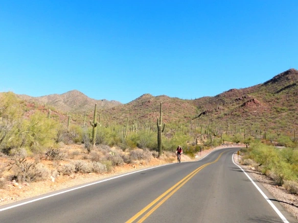 9955B5335A2A126E05DD75