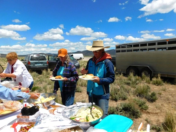 261E97425936355722FC55