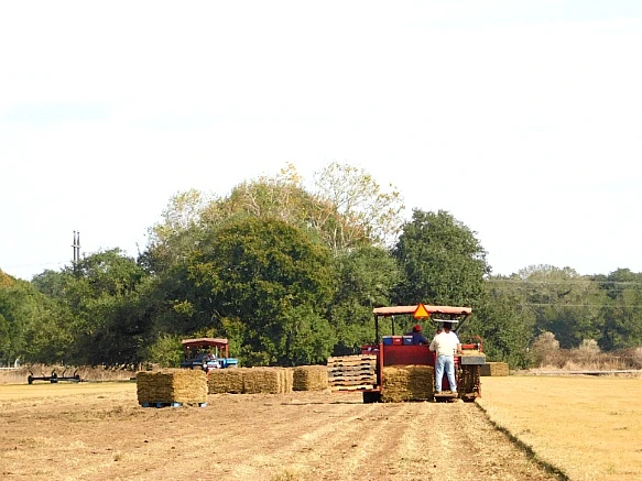 99ABF24E5BFC9CDD0D89CF