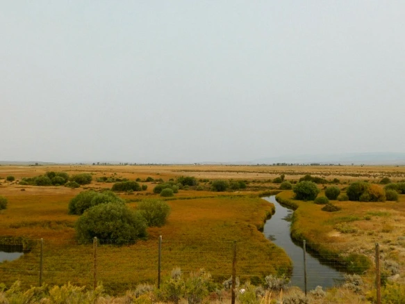 9965833359B1EAAD17BE9B