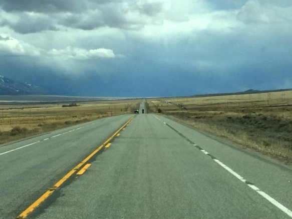 232BC03B56FC48B7029DEA