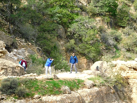 993E68385BC951313C7A51